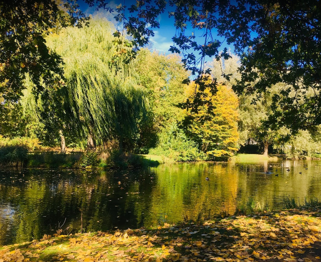 Trfihi Parks | Parks | Sterrenburgpark