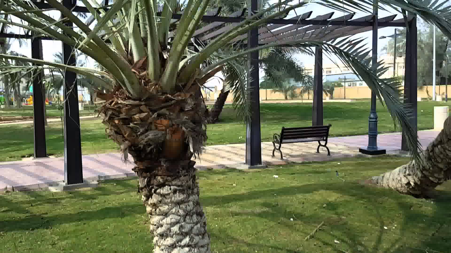 Trfihi Parks | Parks | AL Wadi Park