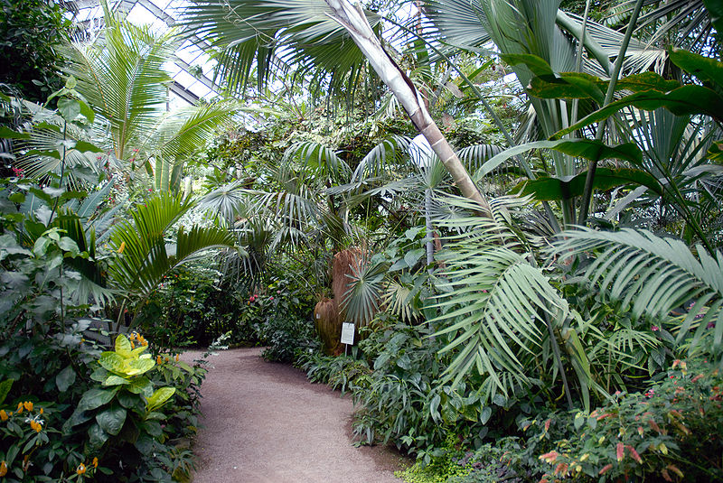 Trfihi Parks Parks Botanischer Garten Jena