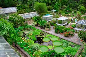 Trfihi Parks Parks Botanischer Garten Erlangen