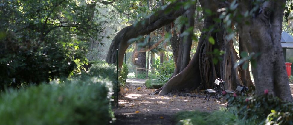 Trfihi Parks | Parks | Jardim Botânico de Lisboa