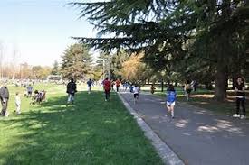 Trfihi Parks Parks Parco Sandro Pertini Arezzo